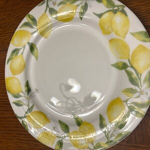 Mikasa Citrus Delight Dinner Plates (10)